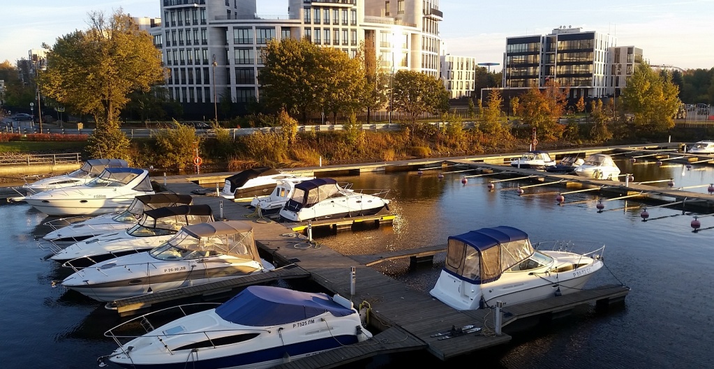 imperator.jpg imperator.jpg